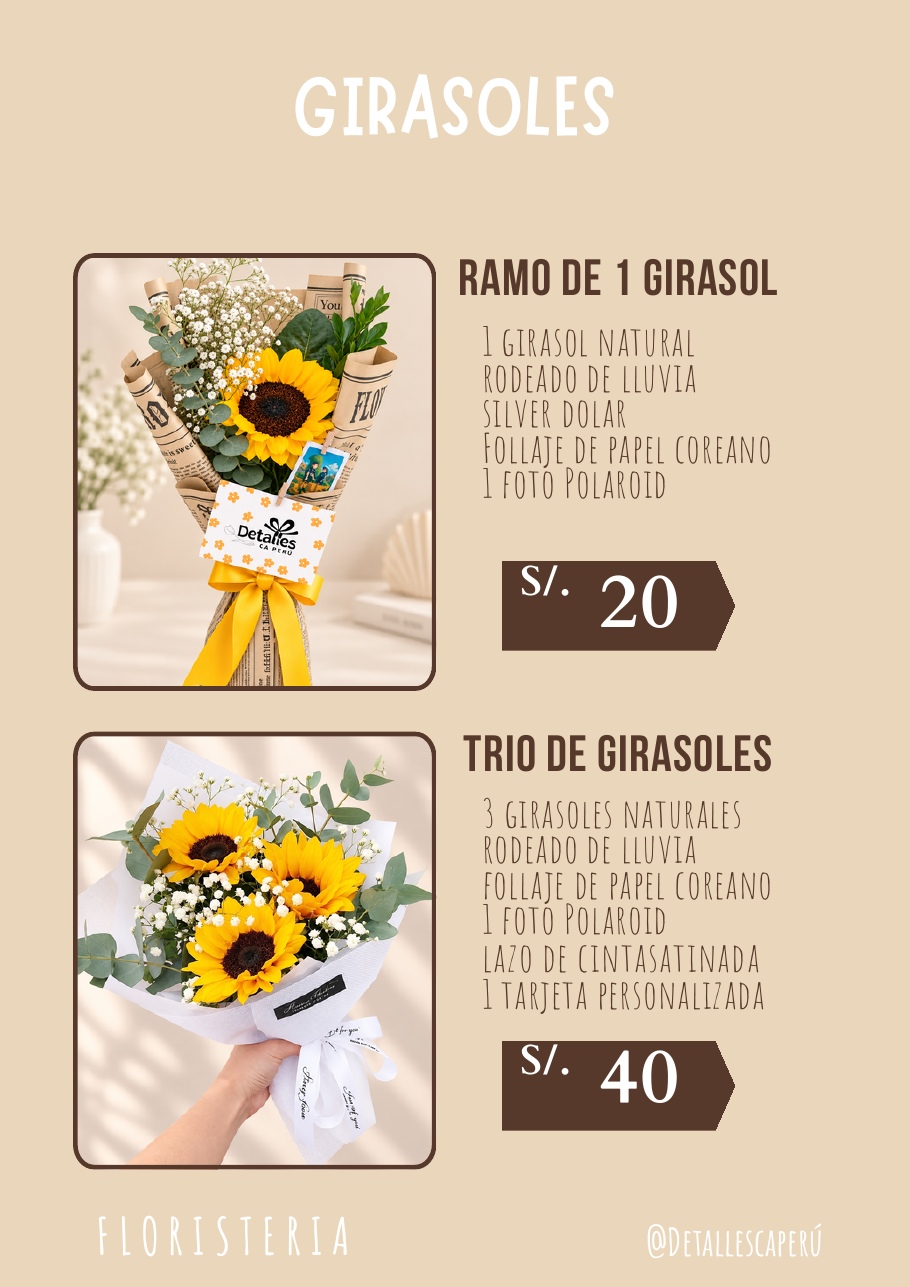 Ramo de 1 girasol